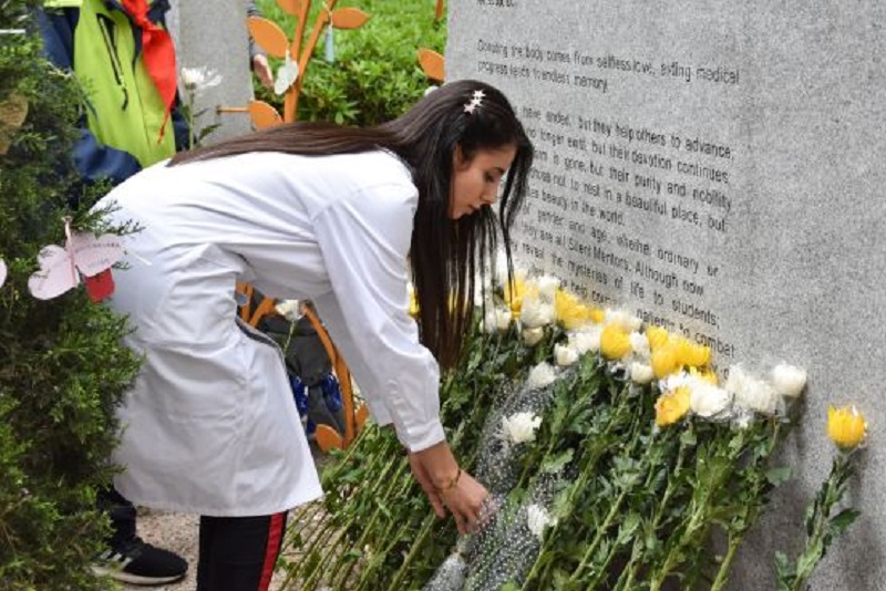 1554211117542157.jpg 2.jpg